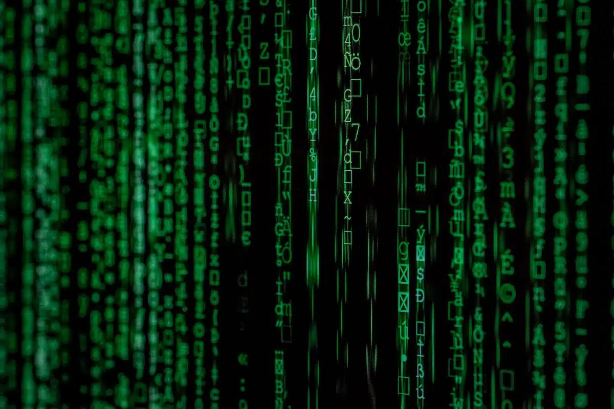 digitalisation  professionnel